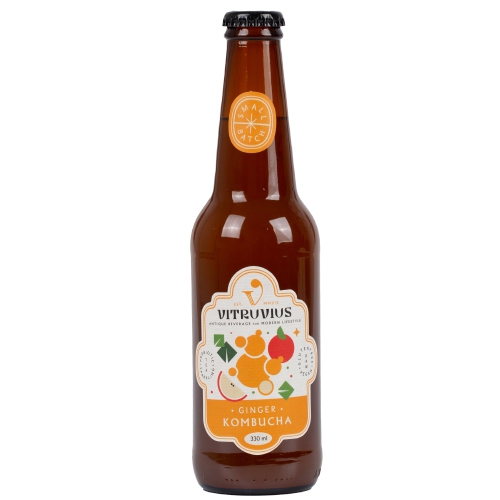 GINGER (ZENCEFİL) Kombucha 330 ml